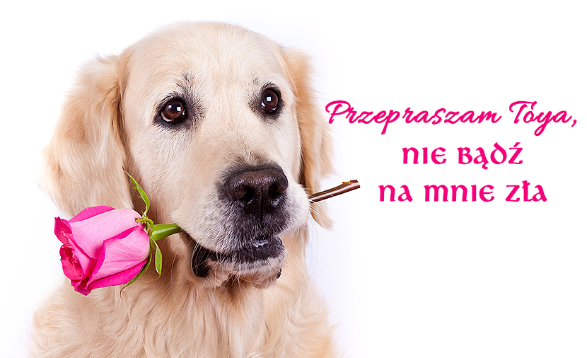 735512051_Beznazwy.png.149cce651fb71fc8134b33c12a75d8f2.png