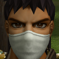 Garru
