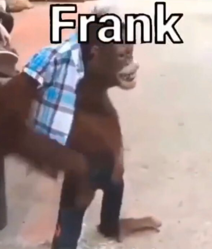 image.png.8376ec0b0ac6982e2dfed6927af55bbe.png
