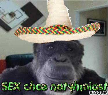 bloggif_5fcea6b2f3e9a.gif.5fe8a923b5b63740ef0b5130b618b462.gif