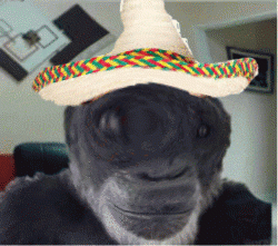 bloggif_5fcea7cd44fca.gif.0f6433fbd7d90d00cfd81fdf209ca32f.gif