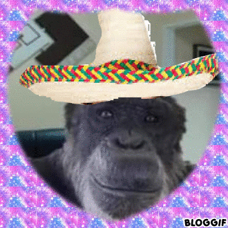 bloggif_5fcea93387896.gif.9be6f7376d2c22d536a8484f9d4fa532.gif