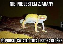 image.jpeg.0640b292789d3b3da8dcdf3f41ff92ad.jpeg