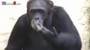 image.jpeg.e30f5d5512ccd68caeb284a109a41cbd.jpeg