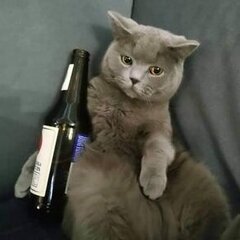 Pawelix34