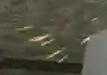 image.png.9e9876e9b7a27ebfc3c115e608b3bf60.png
