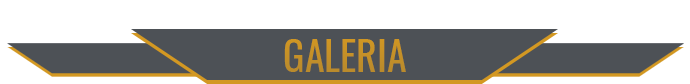 GALERIA.png.80711379d5c9cfb451dcc7910c9e2eca.png