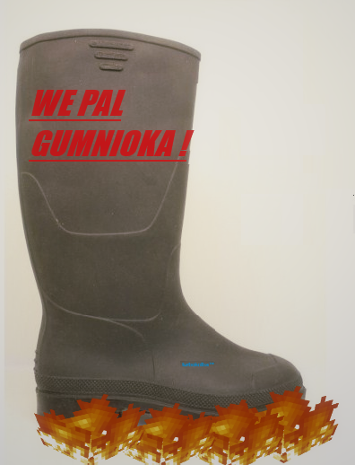 458883407_WEPALGUMNIOKA.png.7e5f62341b5f38d166e2c8f65b1aff86.png