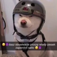 Maksio272