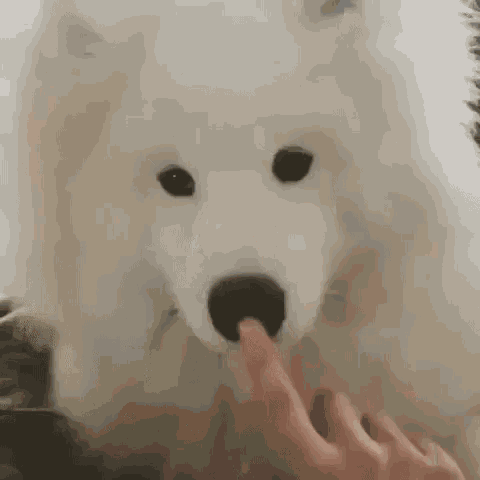 piesu.gif.f1ab5a3d4297c8ee26bb078bd45c7865.gif