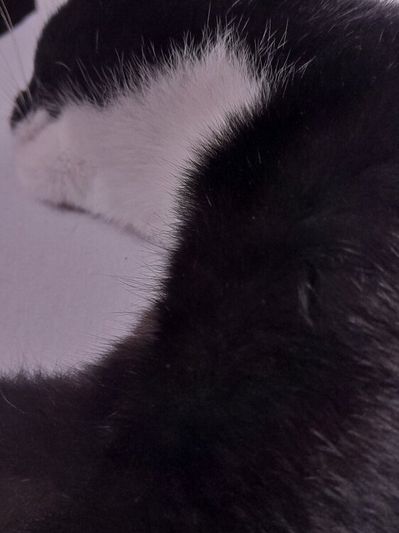 20210910_123843.jpg