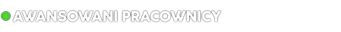 awanse-napis.png.db842b494cefa0de22c61ee9da9e2273.png