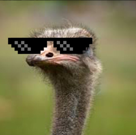 image.png.90980abd360f5dc1de08679f74d70d68.png