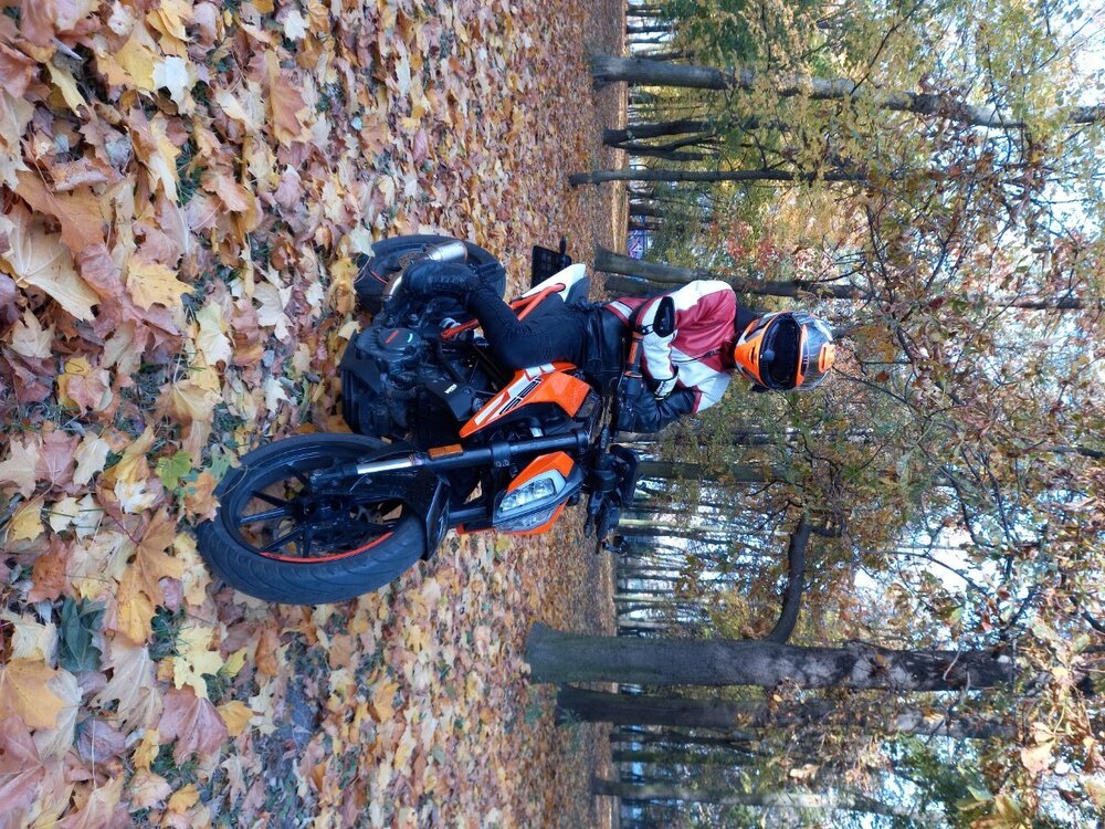 20211024_152551.thumb.jpg.363b917bc6d748fa7d59d3aabcd3b989.jpg