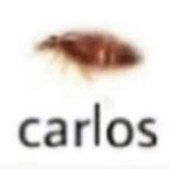amigo