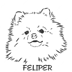 Feliper