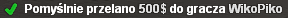 przelew.png.485b4e1d383f391aec962753ea03aaf3.png