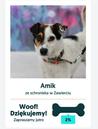 amik.PNG.76665533467b49c0788baa63b640ef19.PNG