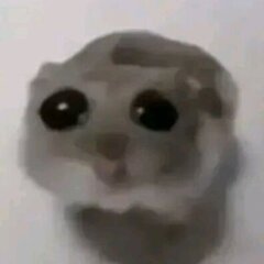 Noobsky