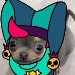 Xzozol