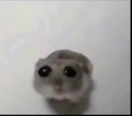 image.png.97b6ed01b5c5671c5d52c874887b1ae1.png
