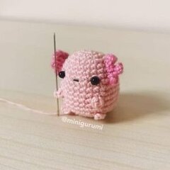 Liv_cia