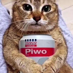 Pawelos14