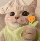 image.png.d6d403c9108c1dc2157313698abb441e.png