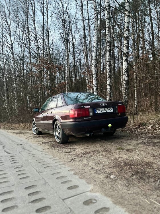 audi.thumb.jpg.714cdc986df5346c3a783d8540f8c968.jpg
