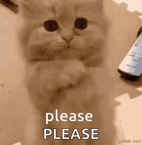 862700931_DontMakeMeBegGIF.gif.de1cbbc2a5da8d3a9f75dcdb640bc591.gif