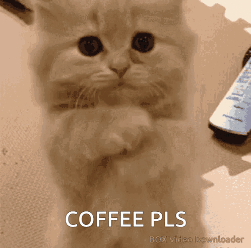 CoffeePleaseGIF.gif.6c9046187f66e660b1fa1fd1569deb18.gif