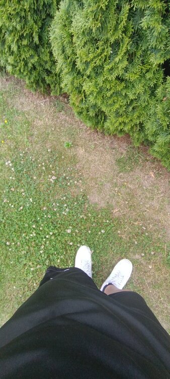 IMG_20250623_170138.jpg