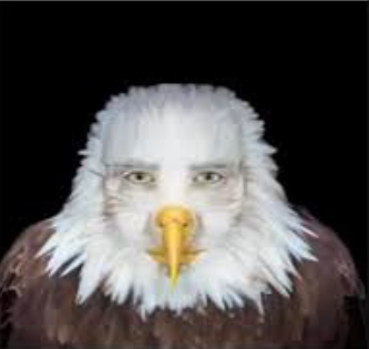 image.png.e99c1bc880bee8f0d19a52857f251e21.png