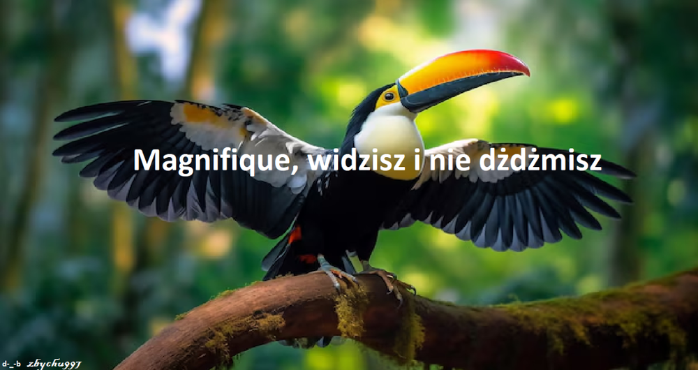 image.thumb.png.989f09fbad9a6e7c4408c095526de68e.png