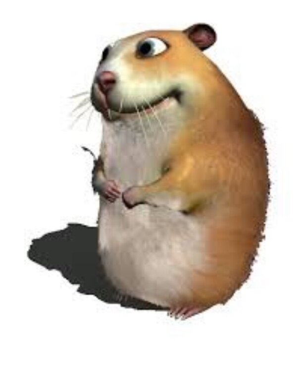 IMG_2184.thumb.jpeg.c6120e57bbfea4948da853b15f878d4e.jpeg