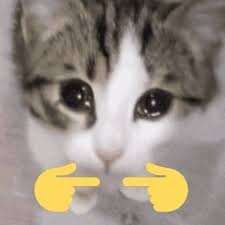 image.jpeg.b7083505e79e0299ad723bebad518271.jpeg