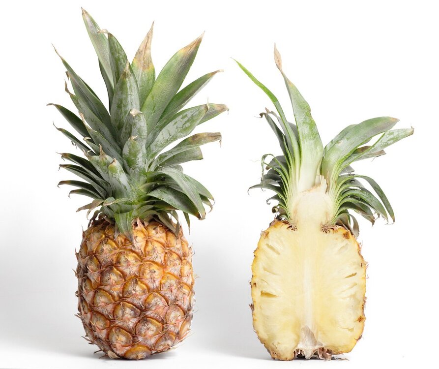 Pineapple_and_cross_section.thumb.jpg.079a61dd2256cd8a5e3c5d4069f85ba2.jpg