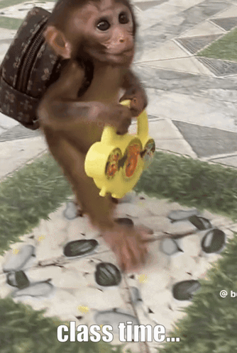 image.png.0cf0752157127abcf1f90abdf2904bd0.png