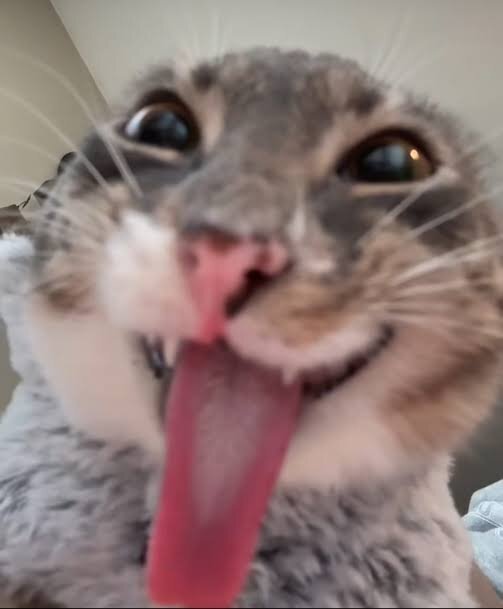 947869225_images(6).jpeg.de77b426669147145947a539cb2b310b.jpeg