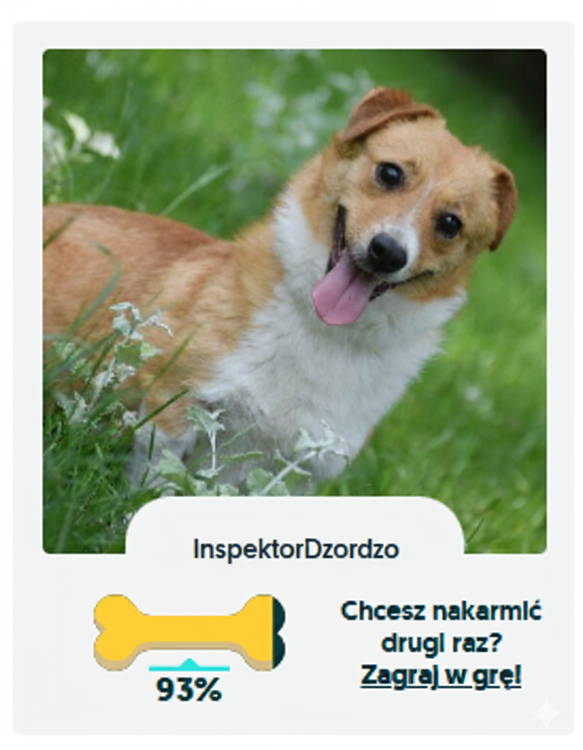 InspektorDzordzo.png