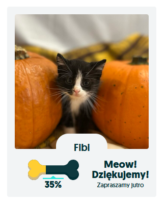 obraz.png.71e3d096cf0462c765f52bff35fa3ea0.png