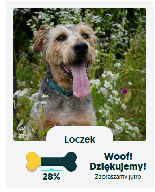 piesek.png.e2f8e2b783aa00e7c98f13e7b9294a0b.png