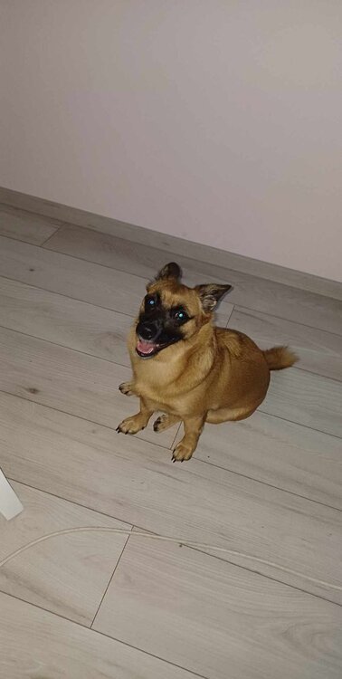 received_838179235177964.jpeg