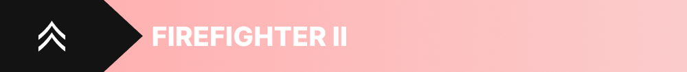 ff2.thumb.png.9a6a484dbe036274c69d1dde9b7c2ae1.png