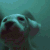 image.gif.b3b88c8f633e9cc30a1fb79ffcae5d0c.gif