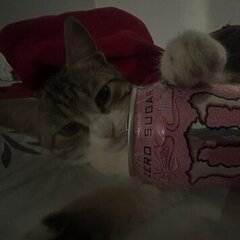 Jakubexx