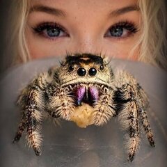 syskaaaaa