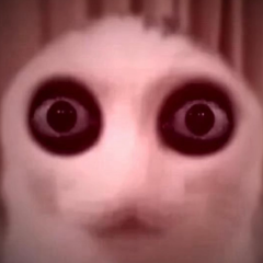 Jarowczak