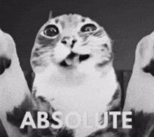 absolute-cinema-rigby.gif.8b0a2d185b475df2d85958c509013e9b.gif