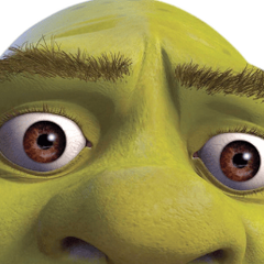 Petek1